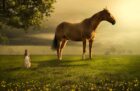 Share 50 sample hình ảnh photo manipulation