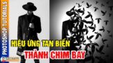 Hướng dẫn hiệu ứng tan biến thành chim bay