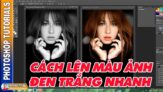 Hướng dẫn lên màu ảnh trắng đen nhanh