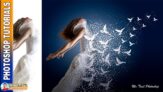 Hướng dẫn tạo hiệu ứng tan biến thành chim trong photoshop