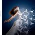 Luminar 4 thay bầu trời đổi màu ảnh nhanh trong photoshop